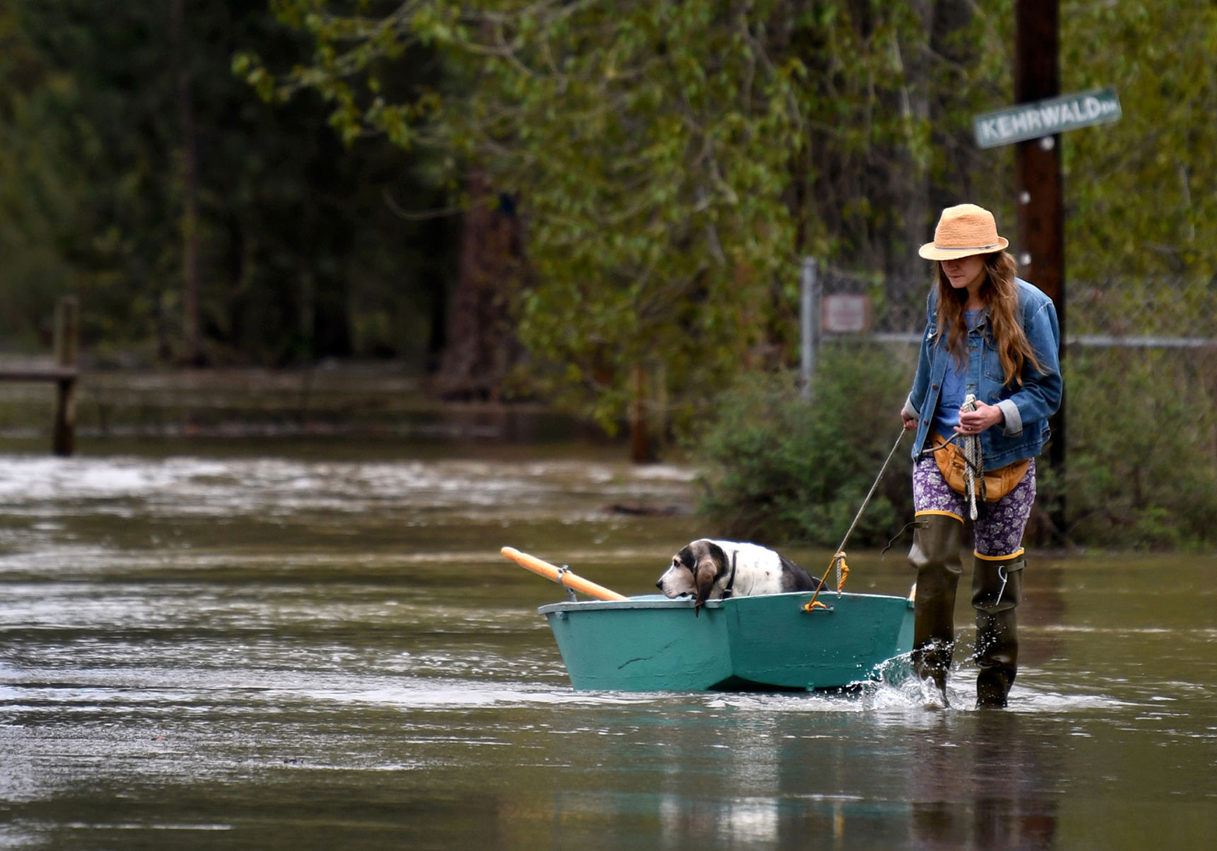 Katie Condon ferries her basset hound, Fran